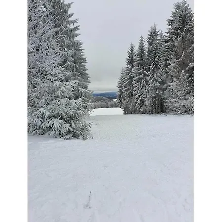 Apartmán Spacious Near Trails, Cleaning Included *