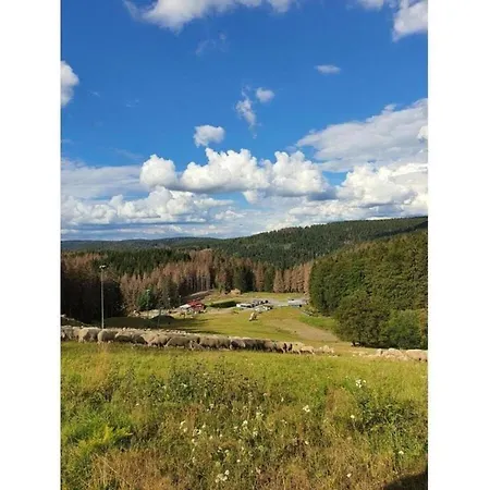 Spacious Near Trails, Cleaning Included *