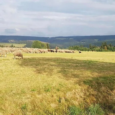 Spacious Near Trails, Cleaning Included Apartmán Masserberg