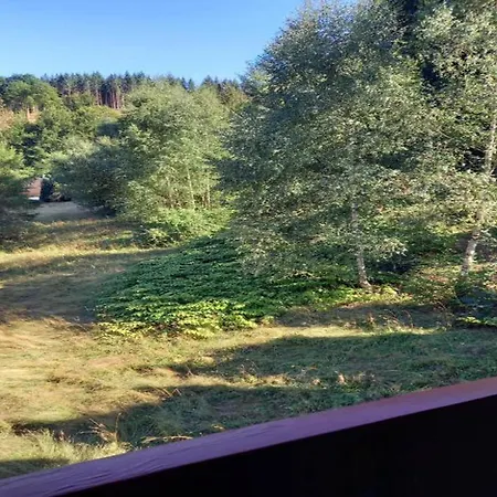 Spacious Near Trails, Cleaning Included Apartmán *