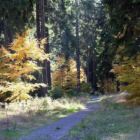 Apartmán Spacious Near Trails, Cleaning Included